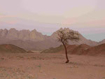 Wüste bei Hurghada