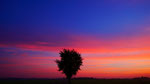 Clasen/Stiller Fotografie, Udo Clasen, Patrick Stiller, Nachtaufnahme, Abstrakte Fotos, Langzeitbelichtung, Sonnenaufgang, rot, grün, blau, orange, gold, gelb, Pflanzen, Baum, Bäume, HDR, Düsseldorf, Duisburg, Natur, Tiere, Wolken, Wassertropfen, Vögel,
