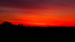 Clasen/Stiller Fotografie, Udo Clasen, Patrick Stiller, Nachtaufnahme, Abstrakte Fotos, Langzeitbelichtung, Sonnenaufgang, rot, grün, blau, orange, gold, gelb, Pflanzen, Baum, Bäume, HDR, Düsseldorf, Duisburg, Natur, Tiere, Wolken, Wassertropfen, Vögel,