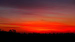 Clasen/Stiller Fotografie, Udo Clasen, Patrick Stiller, Nachtaufnahme, Abstrakte Fotos, Langzeitbelichtung, Sonnenaufgang, rot, grün, blau, orange, gold, gelb, Pflanzen, Baum, Bäume, HDR, Düsseldorf, Duisburg, Natur, Tiere, Wolken, Wassertropfen, Vögel,