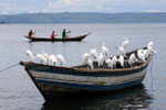 Lake Victoria, Tansania