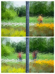 Inside/Outside