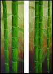 Bamboo Too - 2004 - Acrylic on canvas