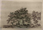 Charmier 11, Les cinq arbres de part et d'autre du chemin, s.d. (BM Lyon Res Est 28211).