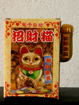 Katze im Karton  -  Chinesische Winkekatze, 2010