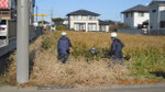 草刈