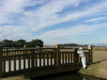 公園清掃