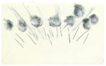 Untitled | from the series Zap Stills | #13tek027 | 2013 | graphite on paper | 13 x 21 cm | © André Laarhoven