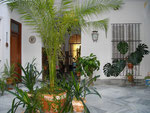 2009年　スペイン・へレス　　私が滞在していたピソ（アパート）のパティオ（中庭）