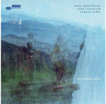 Carlos Nino, Josh Johnson & Nate Mercereau  / Openness Trio / CHF 39.50