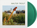 Walter Trout / Common Ground / 2 Lp's / CHF 46.50