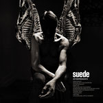 Suede / Antidepressants / CHF 33.50