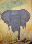 Elefant Savuti, Acryl, 80x110cm, gerahmt, 1200,00 Euro