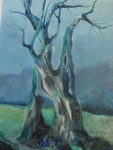 Ölbaum, Acryl, 40x58cm, 740,00 Euro