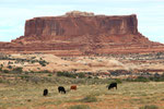 Canyonlands,  Utah