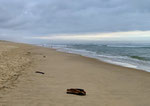 Bay of Biscay, France, 2024