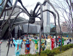 BBears in Tokio