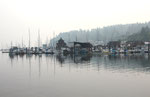 Vancouver island, 2018