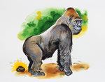 Illustration für das Buch "Mein Gorilla hat ne Villa im ZOO", 2016,  Kunde: Berlin Story Verlag