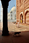 Taj Mahal, India, 2025