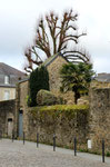 Bretagne, France, 2025