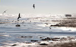 Galveston, Texas