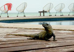 Holbox, Mexico