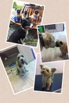 Sunny, Paul, Nanu & Hailey