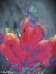 Flower I