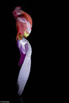 ICM, puppet