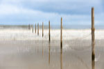 ICM, beach, seaside