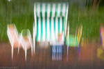 ICM, summer, colorful
