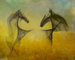 ICM, horses
