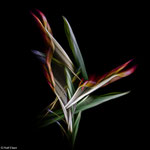 ICM, plant