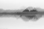 ICM, Worpswede, moor, swamp