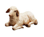 Liegendes Schaf