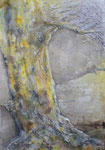 -24- La Ceiba 100*50*3,5 Holz 2016
