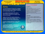 Mariscos Neptuno