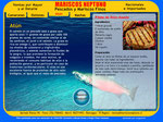 Mariscos Neptuno