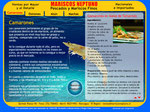 Mariscos Neptuno