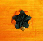 Stern/Blüte "Kolja"