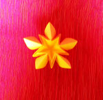 Sternblüte 2  für Antje-Olli