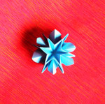 Sternblüte 1 für Antje-Olli