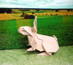 "Rabbit" (Ronald Koh)