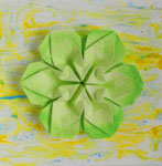 Blüte 2
