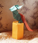 "Baby Parrot" (Riccardo Foschi)