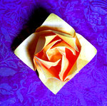 "Makoto-Rose" Makoto Yamaguchi