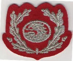 Ruhestandsabzeichen Korpsleiter SW