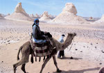 Kameltrekking in der Weißen Wüste (Ägypten)