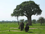 Tanzania 